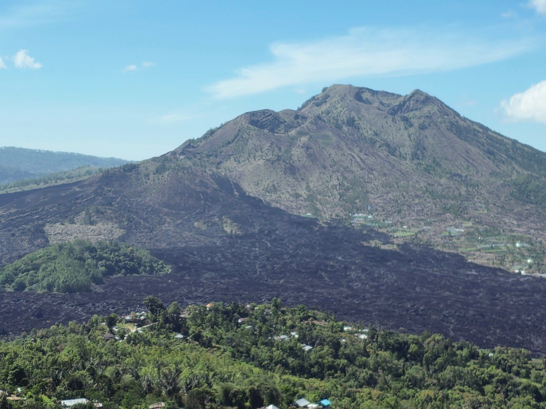 Bali With a Local Tour-佩艳艮必去景点