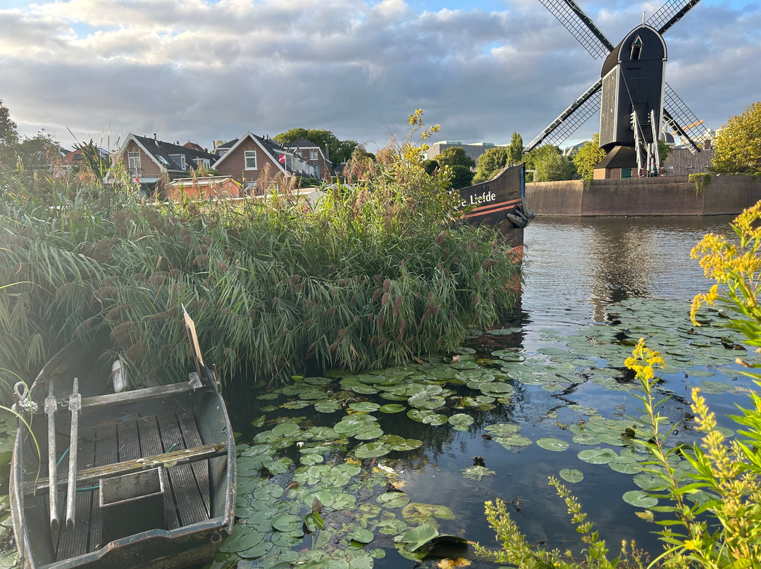 Holland Bike Tours-哈勒姆必去景点