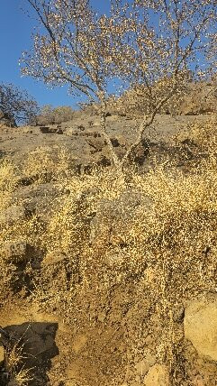Kgale Hill-嘉伯隆里必去景点