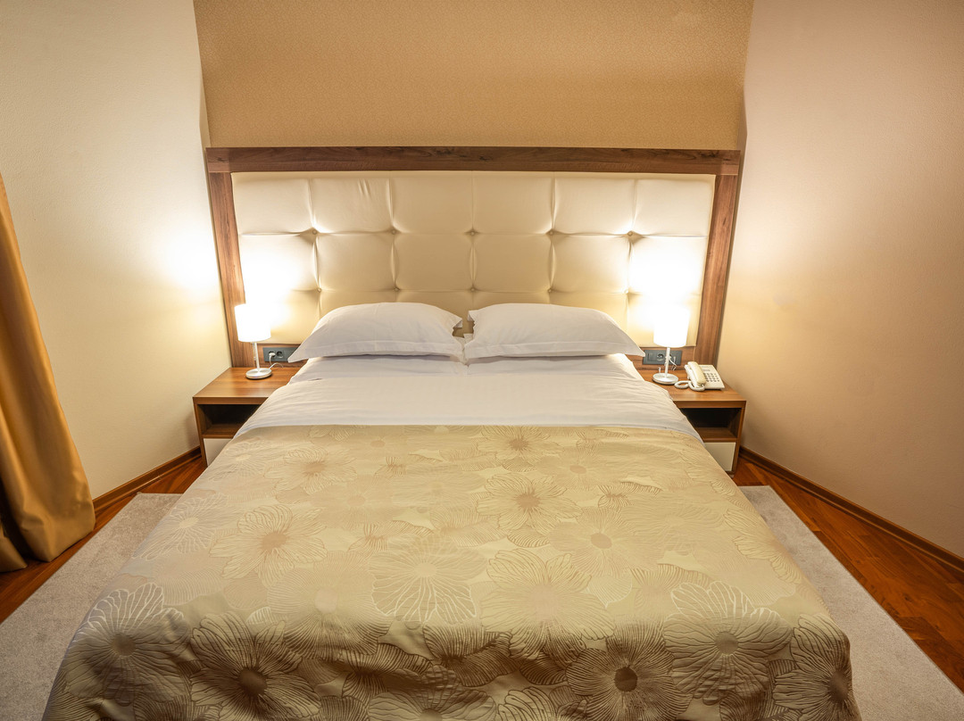 蒂歌尼嘉酒店主图