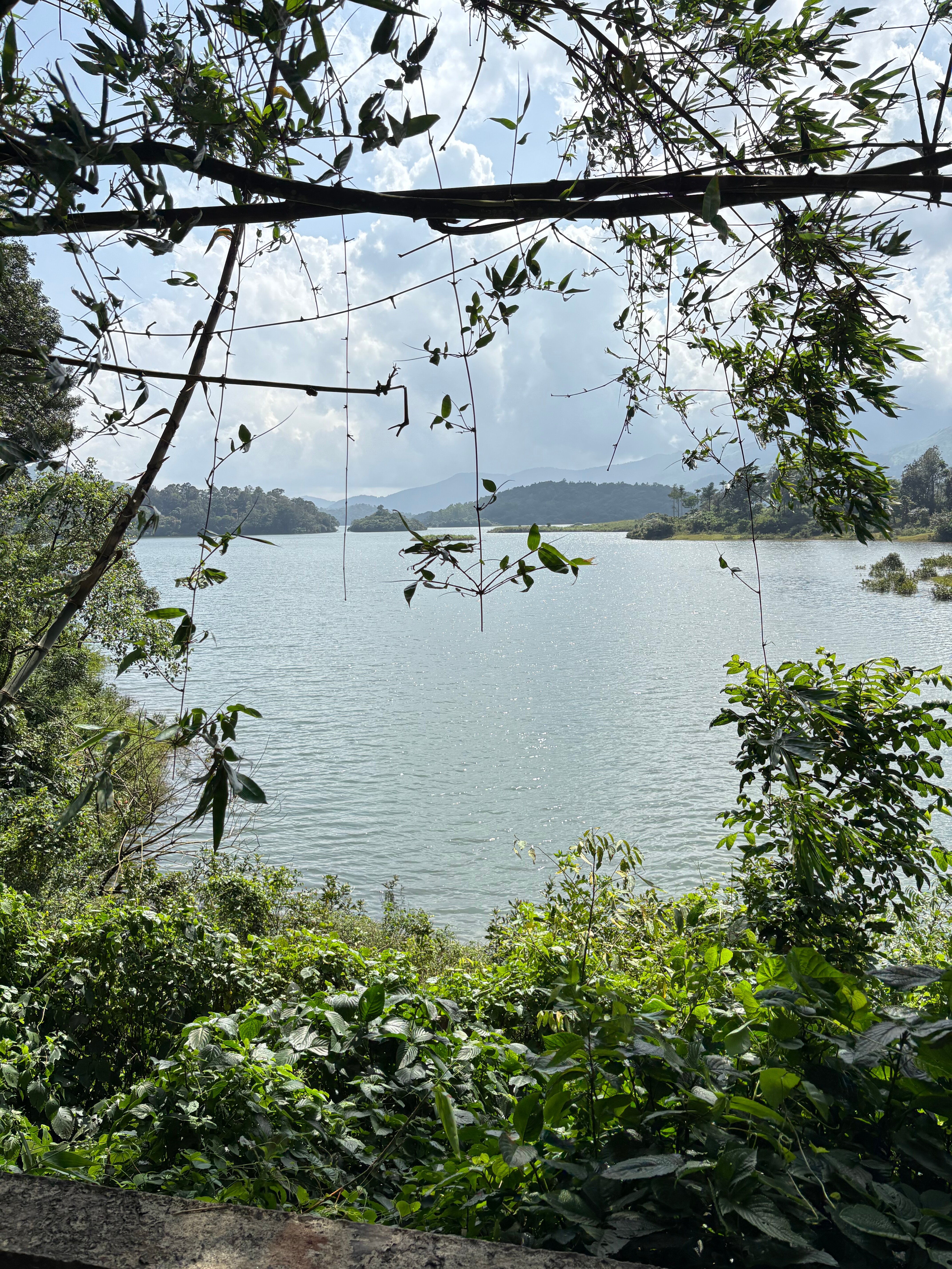 Wayanad Silverwoods Resort-官方