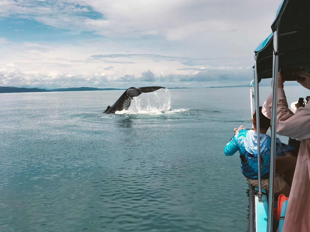 Changing Tide Tours-希门尼斯港必去景点