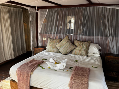 Ila Safari旅馆主图