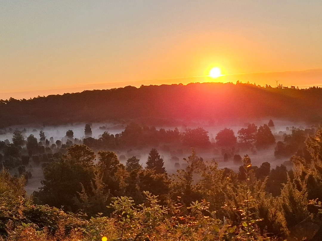 Lüeneburger Heide-吕讷堡必去景点