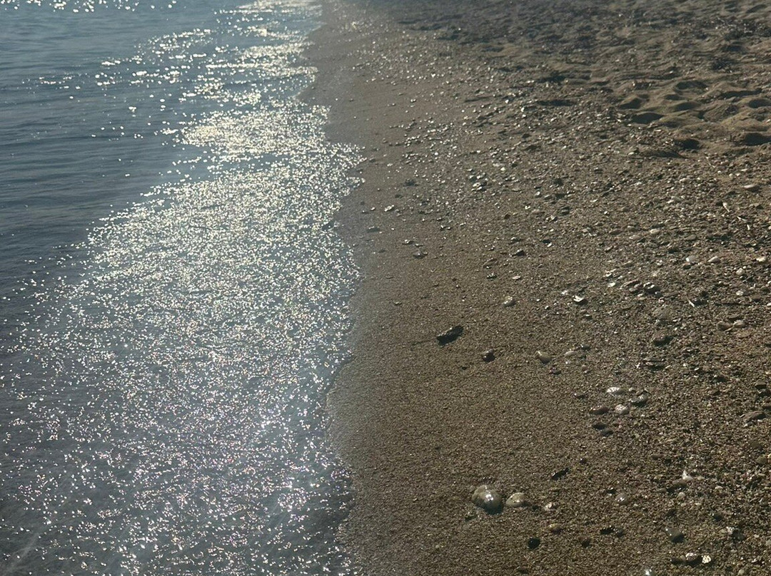 Psakoudia Beach-Psakoudia必去景点