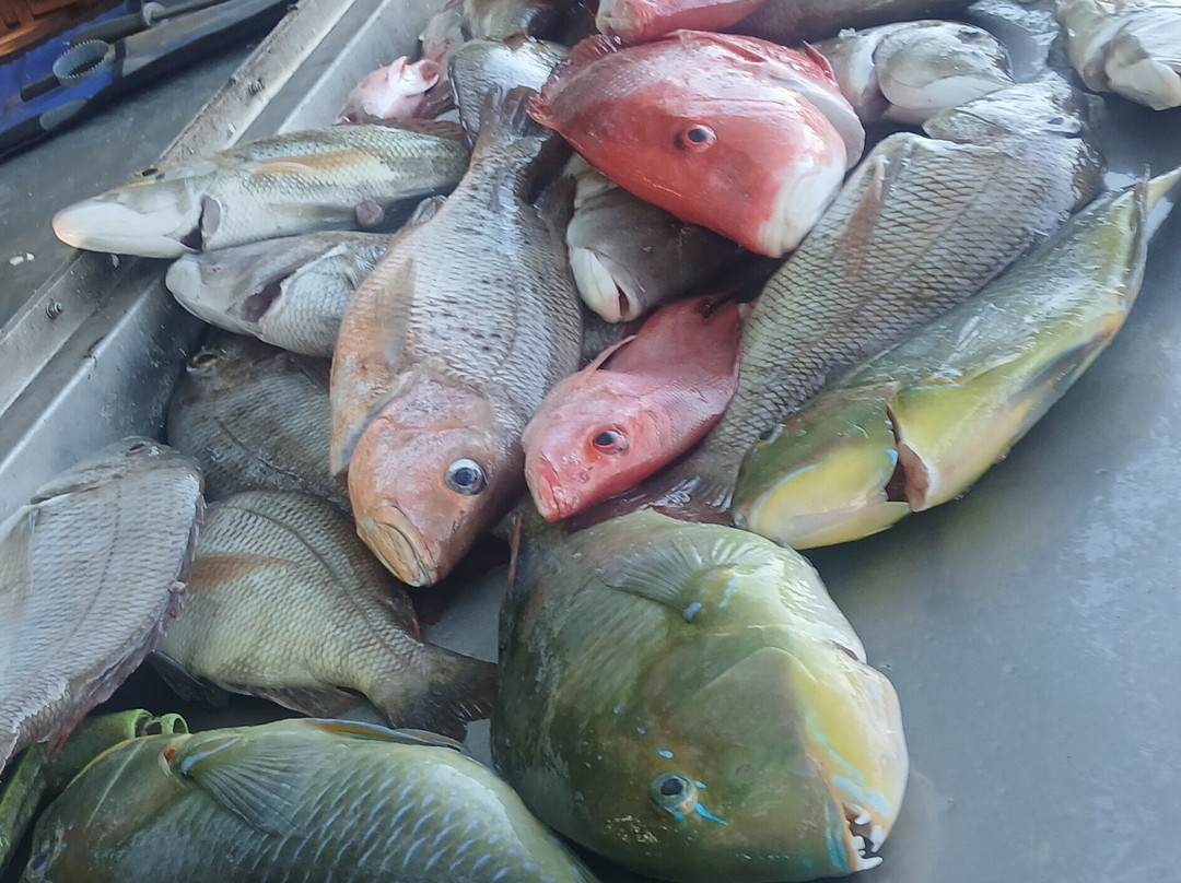 Dundee Beach Fishing Charters-Dundee Beach必去景点