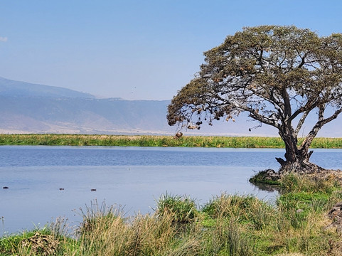 Africa Yetu Safaris-阿鲁沙必去景点