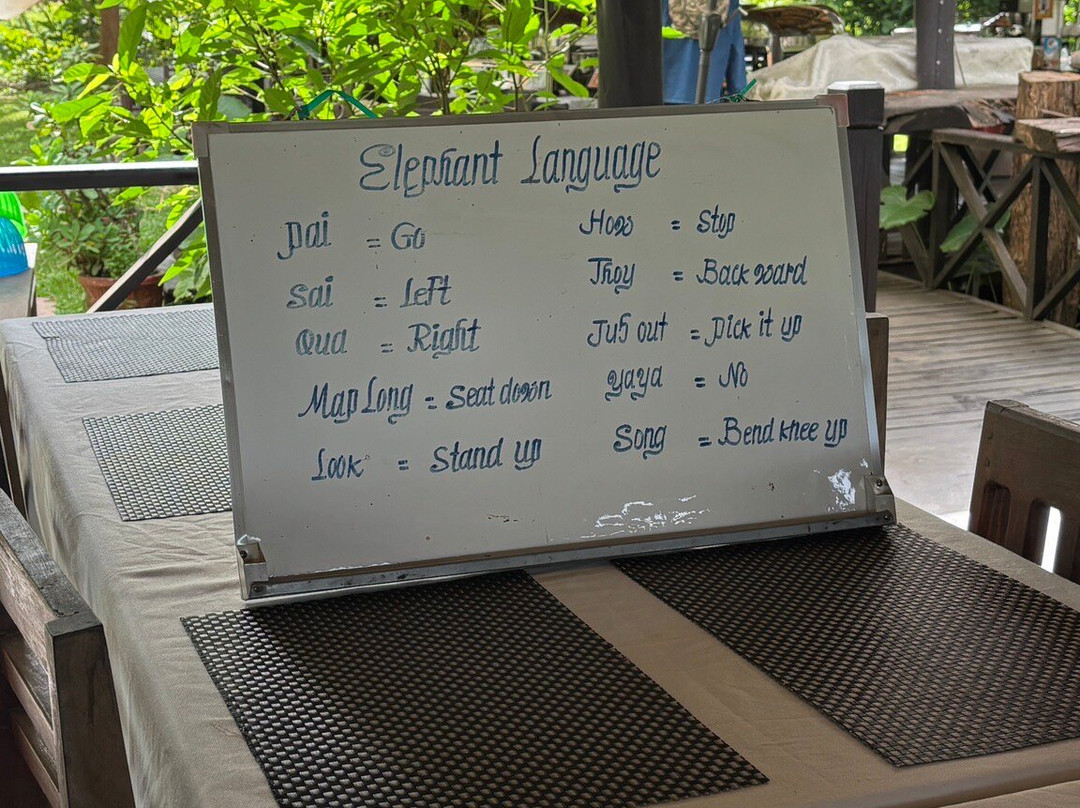 Manifa Elephant Camp-Sang Ha必去景点