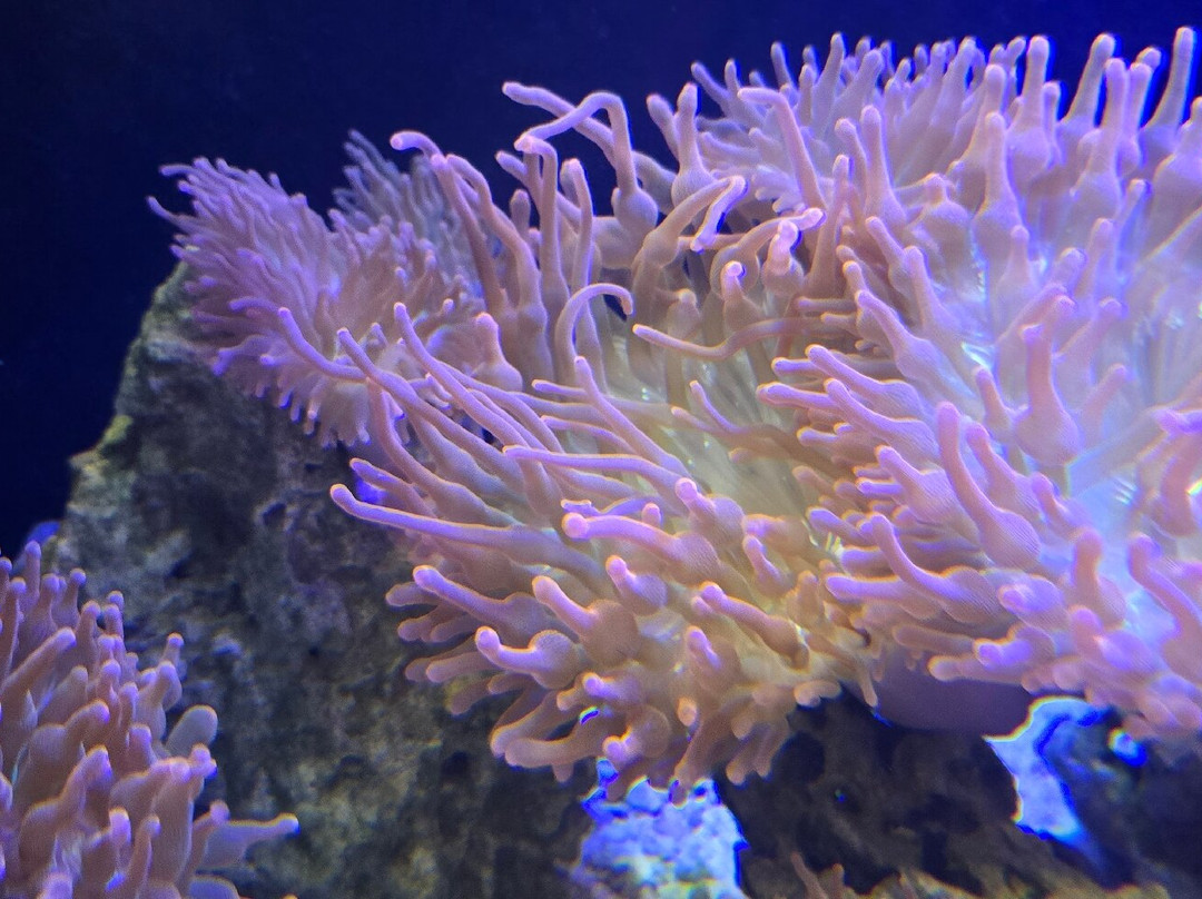 Electric City Aquarium & Reptile Den-斯克兰顿必去景点