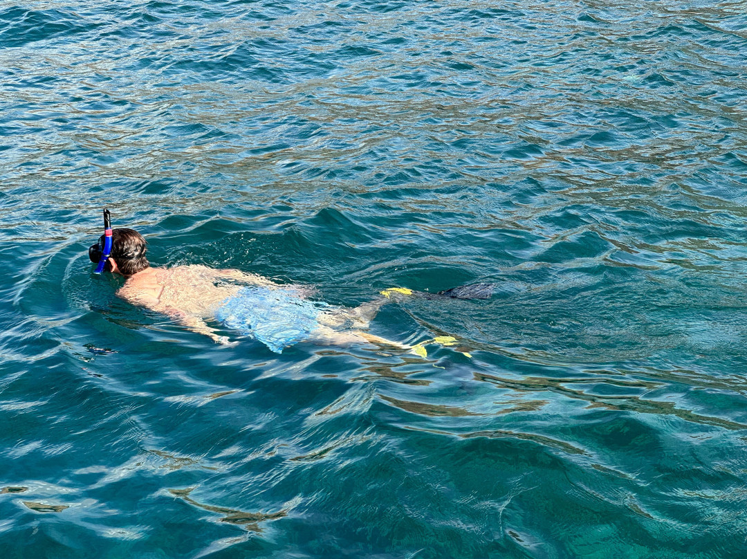 Maui Snorkeling-玛阿拉也亚必去景点