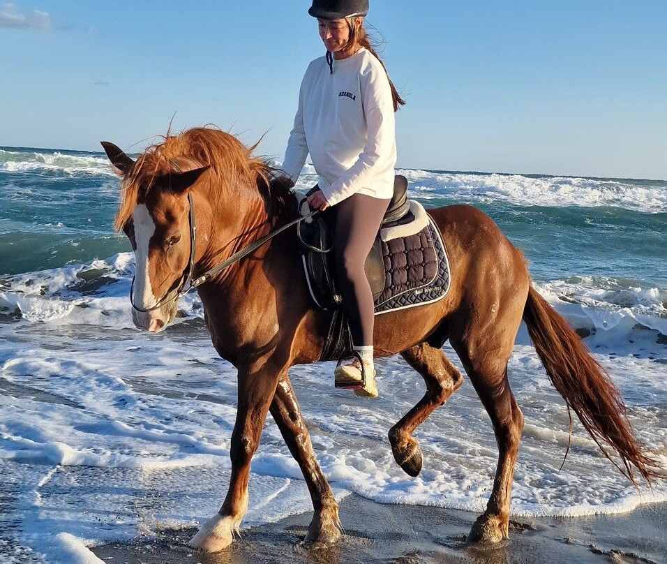 Hersonissos Horseriding-Finikia必去景点