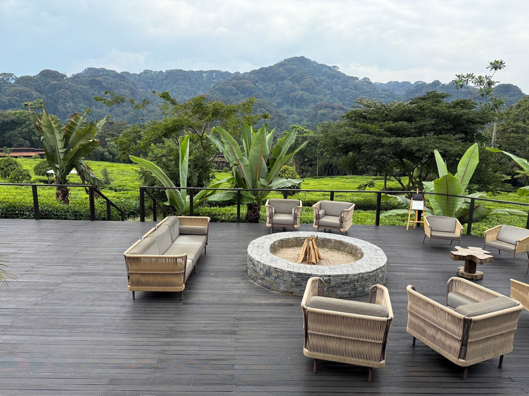 Primate Safaris-吉佳利必去景点