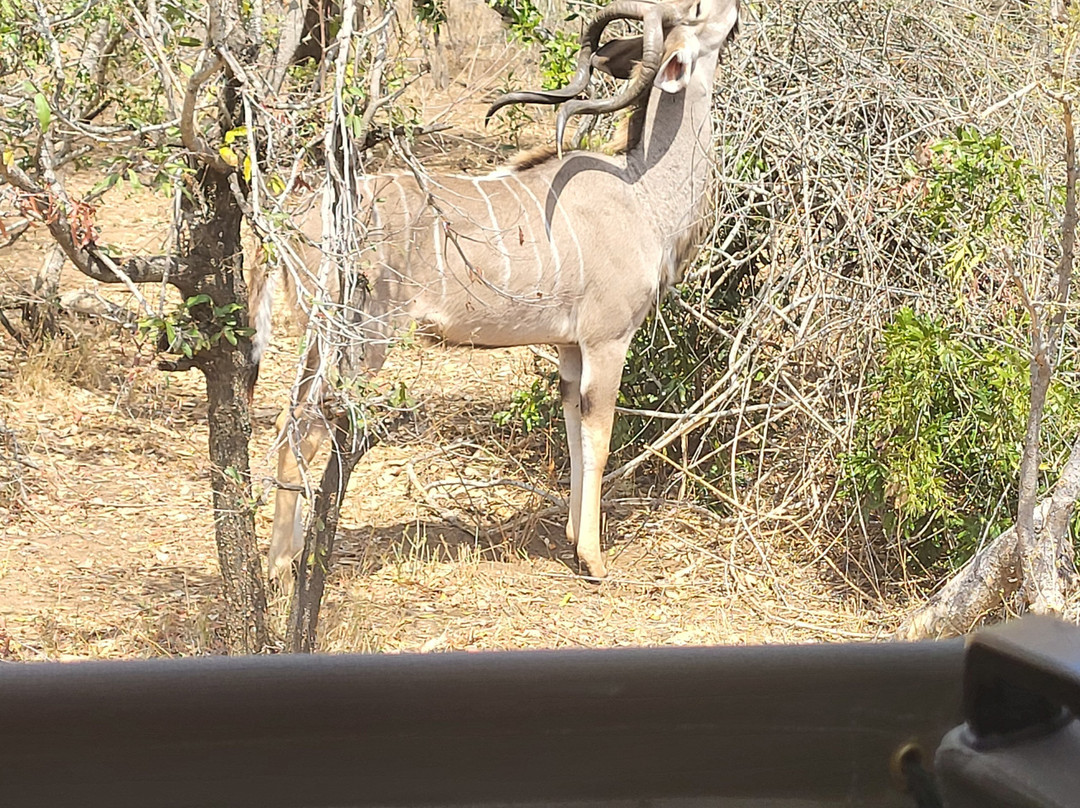 Legend Safaris-克鲁格国家公园必去景点