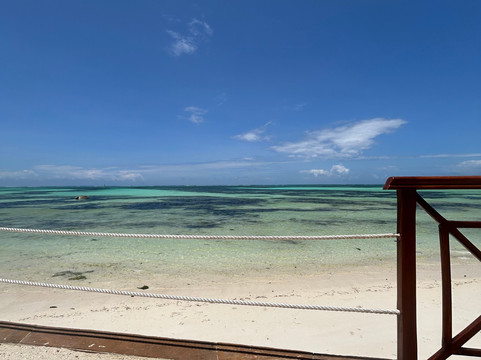 Follow Alice-莫西必去景点