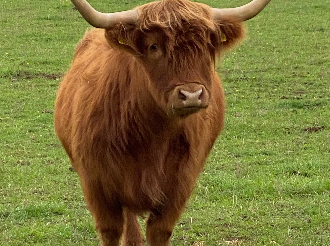 Colready Highlands-Brackley必去景点