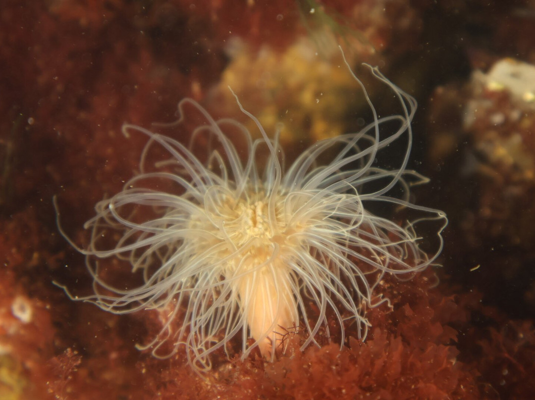 De Grevelingen-Scharendijke必去景点