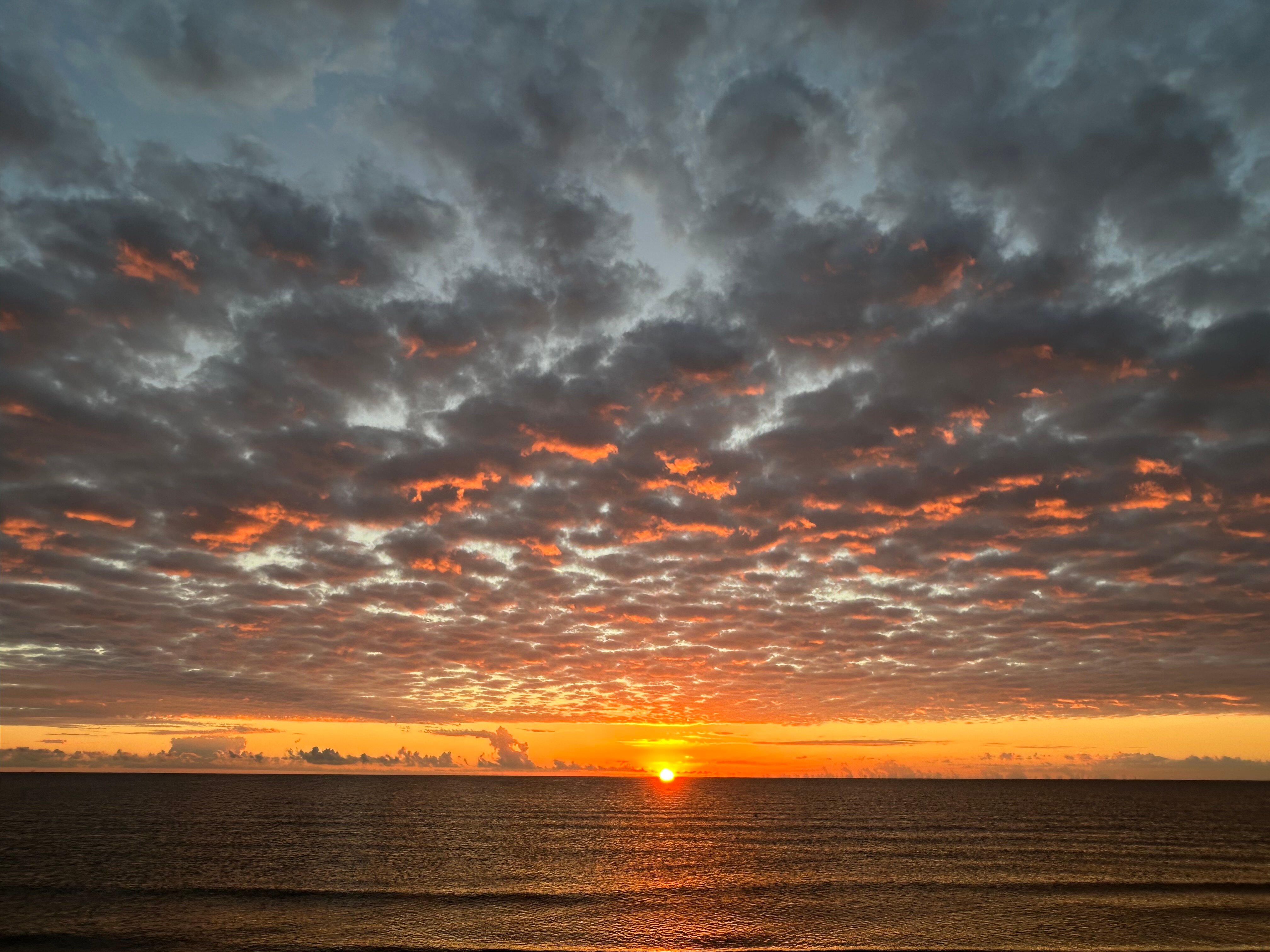 Bellettini Hotel-官方