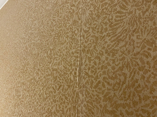 巴林顿三角洲酒店主图