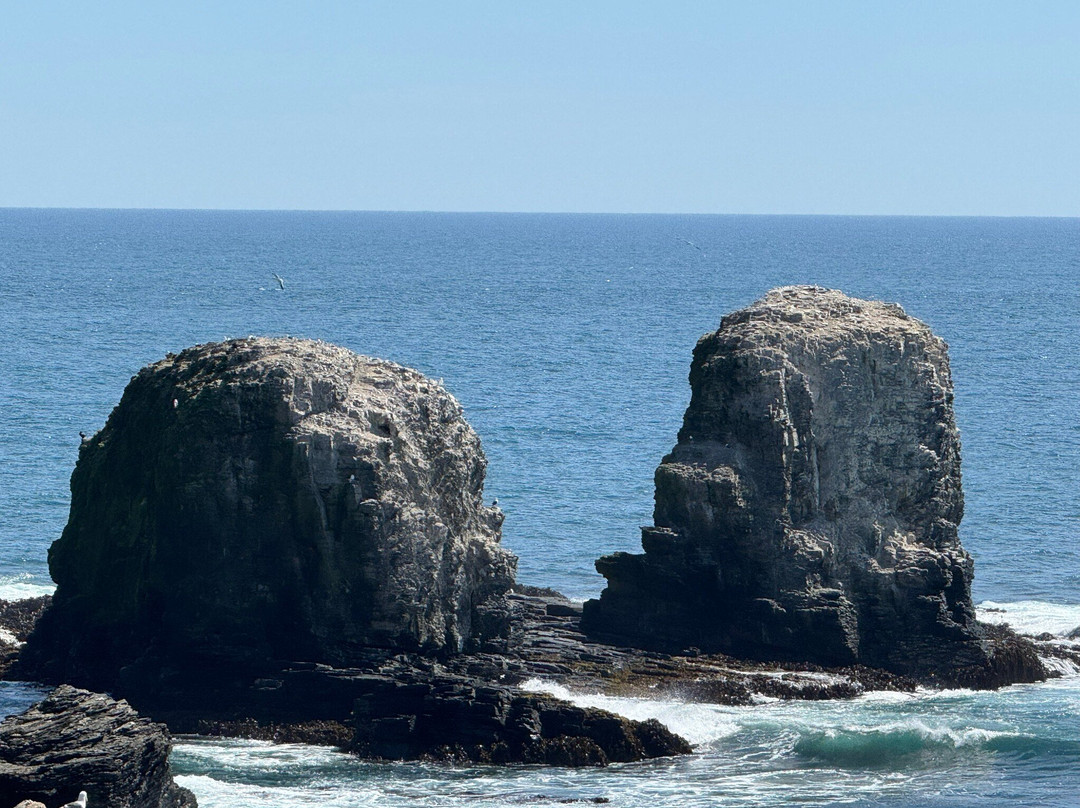 Punta De Lobos-皮钦勒姆必去景点