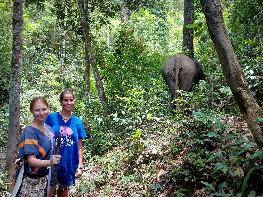 Blue Daily Elephant Care Sanctuary-清迈必去景点