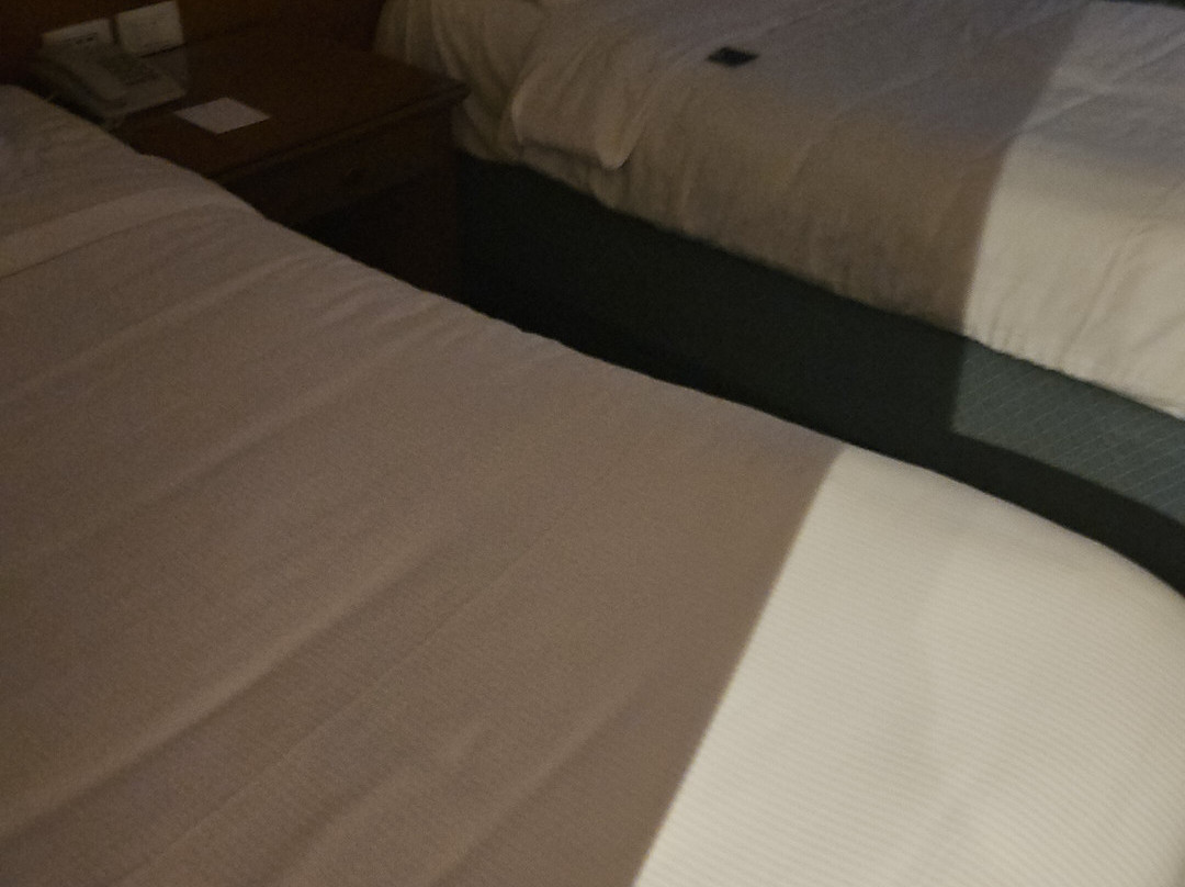 Azal Pyramids Hotel主图