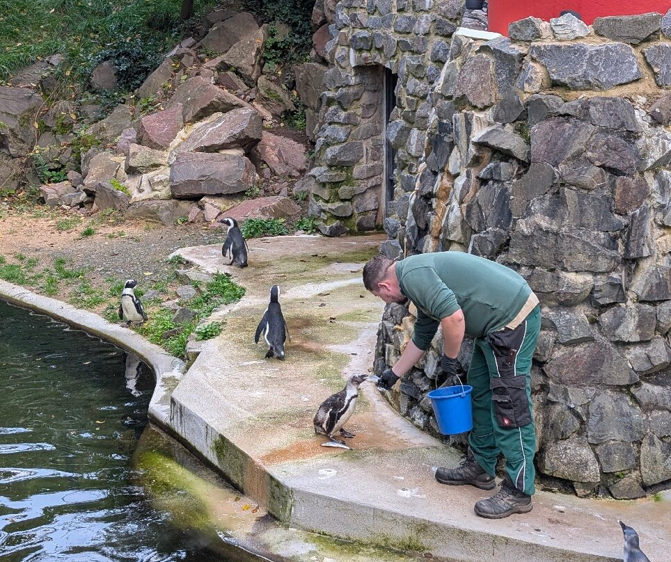 Neunkircher Zoologischer Garten-Neunkirchen必去景点