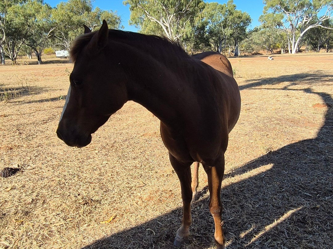 Mary Kathleen-Mount Isa必去景点