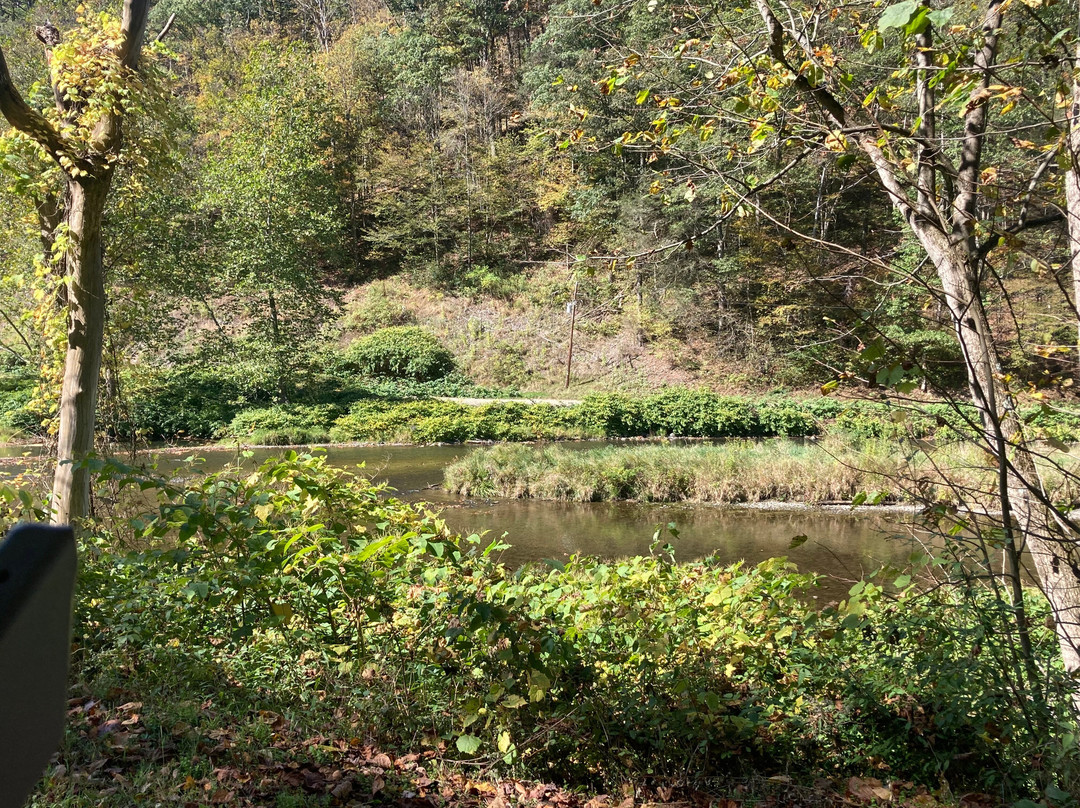 Ole Covered Wagon Tours-Wellsboro必去景点