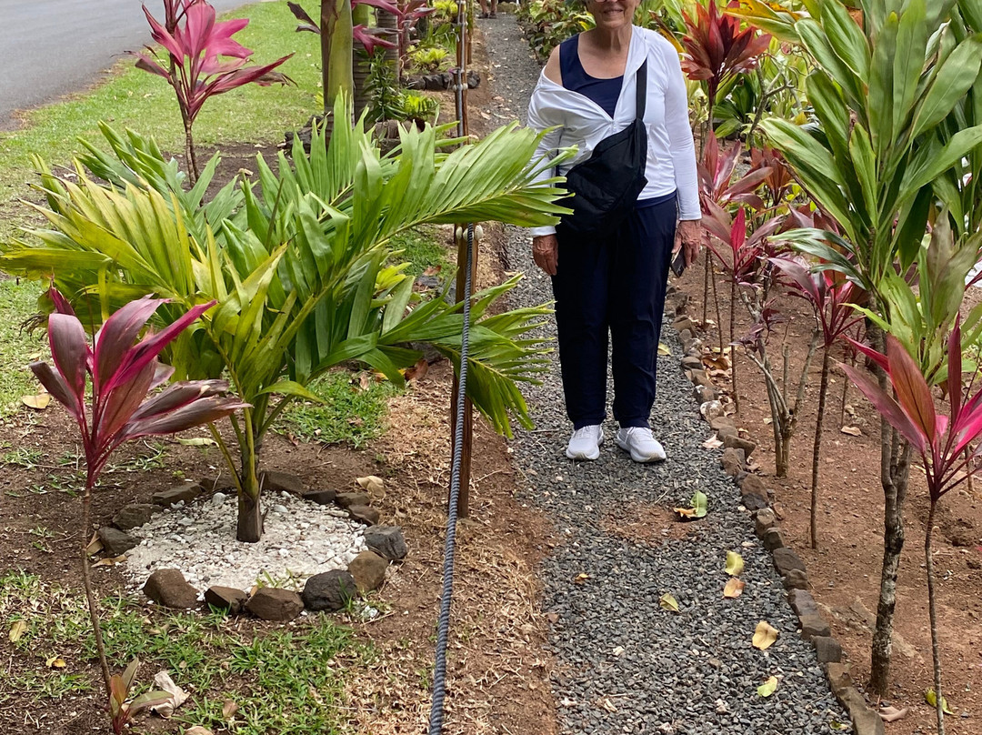 Huahine Land Safari Tour-Fare必去景点