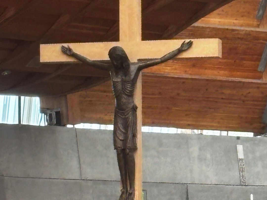 The Cathedral of Christ the Light-奥克兰必去景点