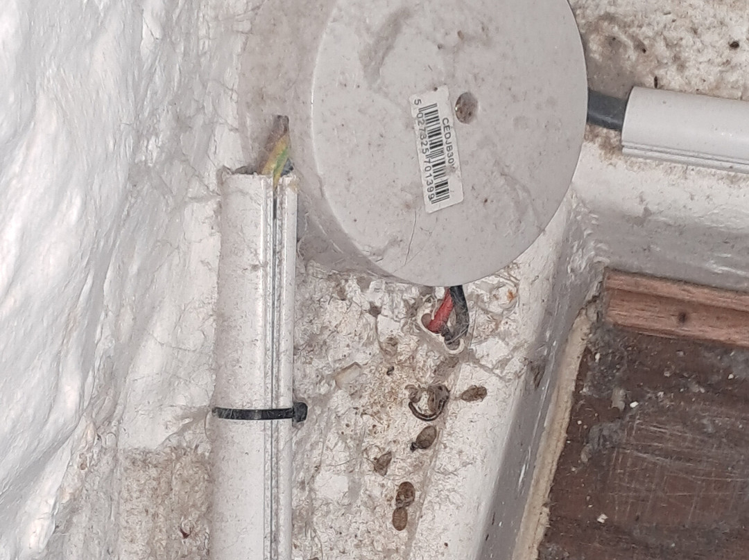 Squirrel Inn at Hurtmore主图