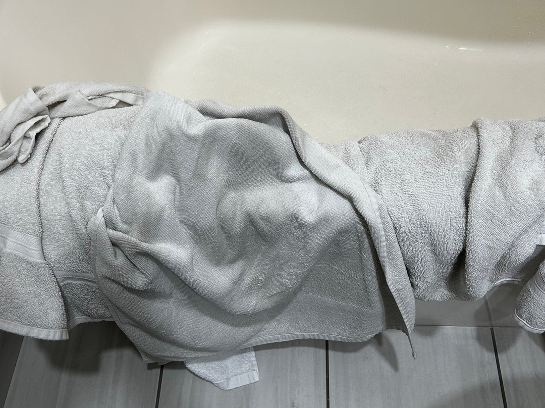 佩吉/鲍威尔湖戴斯套房酒店主图