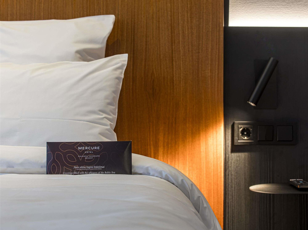 Mercure Palanga Vanagupe Resort主图