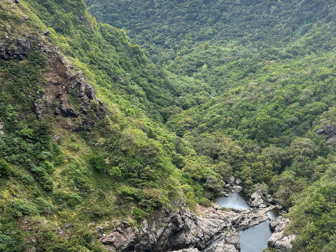 Green Discovery B&B Tamarind Falls 7 Cascades主图
