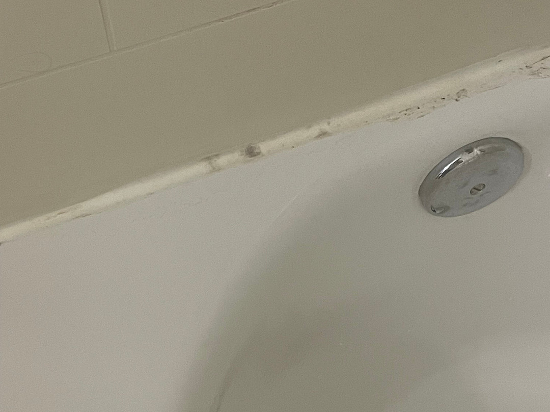 Wingate by Wyndham Charlotte Speedway/Concord主图