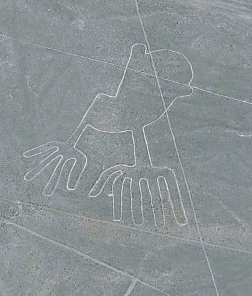 Movil Air-纳斯卡必去景点