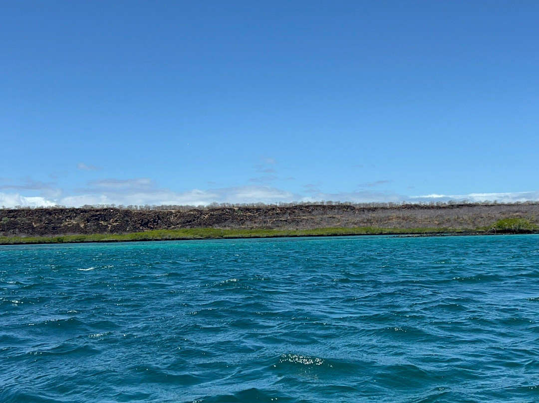 Canal de Itabaca-圣克鲁斯必去景点