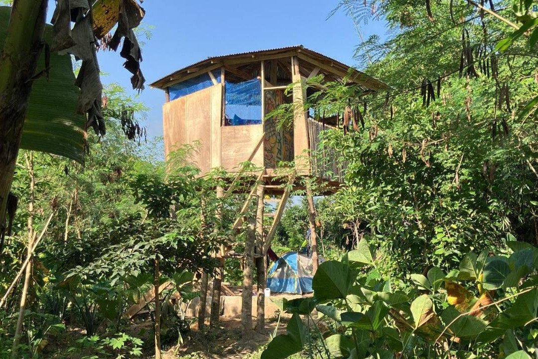 Organic Food Forest And Camp