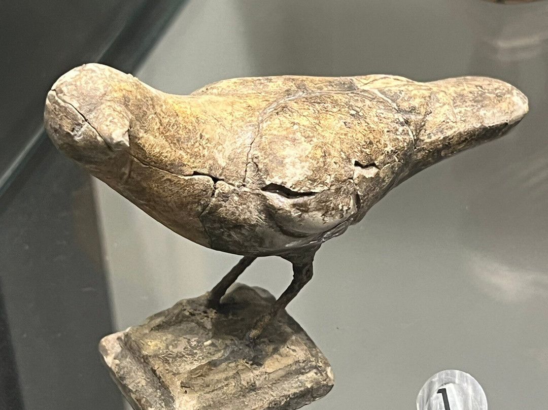 Museo Archeologico Regionale-奥斯塔必去景点