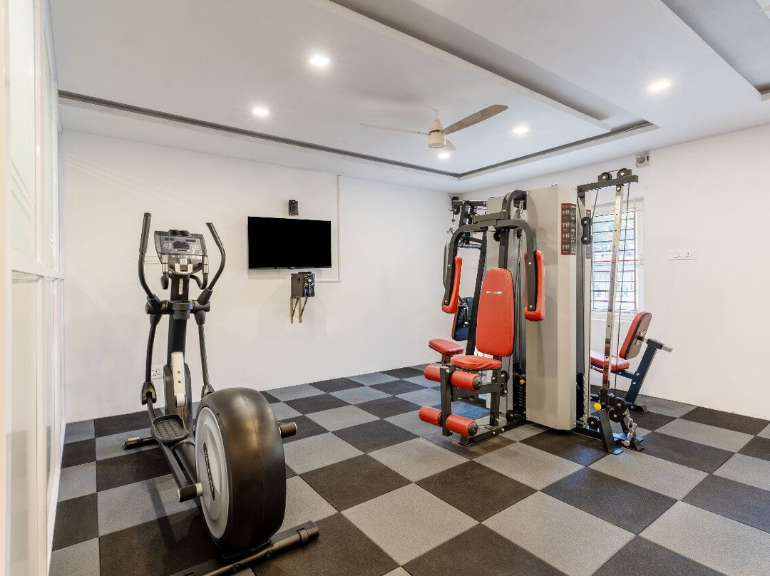 Treebo Premium Emerald Dove主图