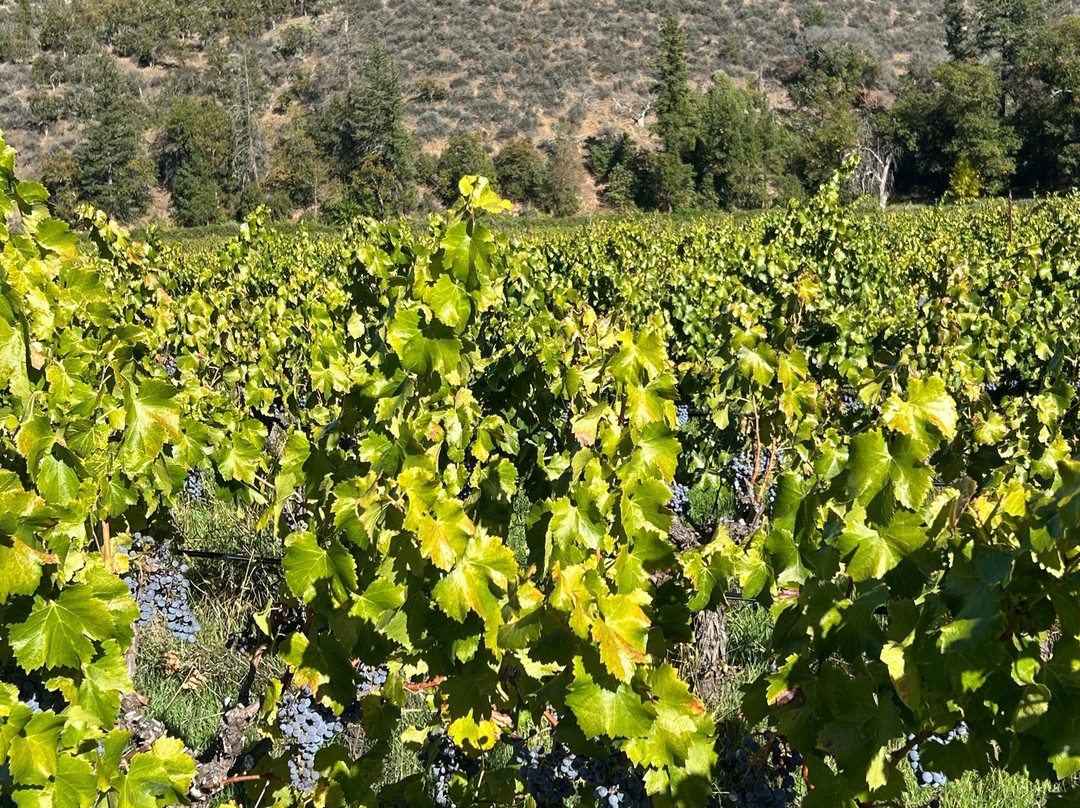 Cowhorn Vineyard & Garden-Jacksonville必去景点