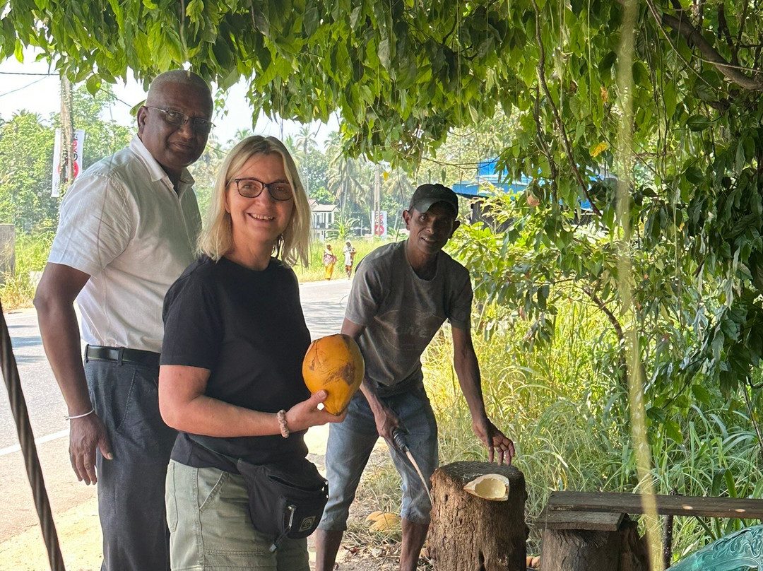 Sri Lankan Safest Driver-Padukka必去景点