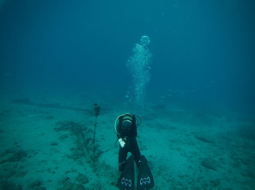 Puerto Rico Diving-波多黎各必去景点