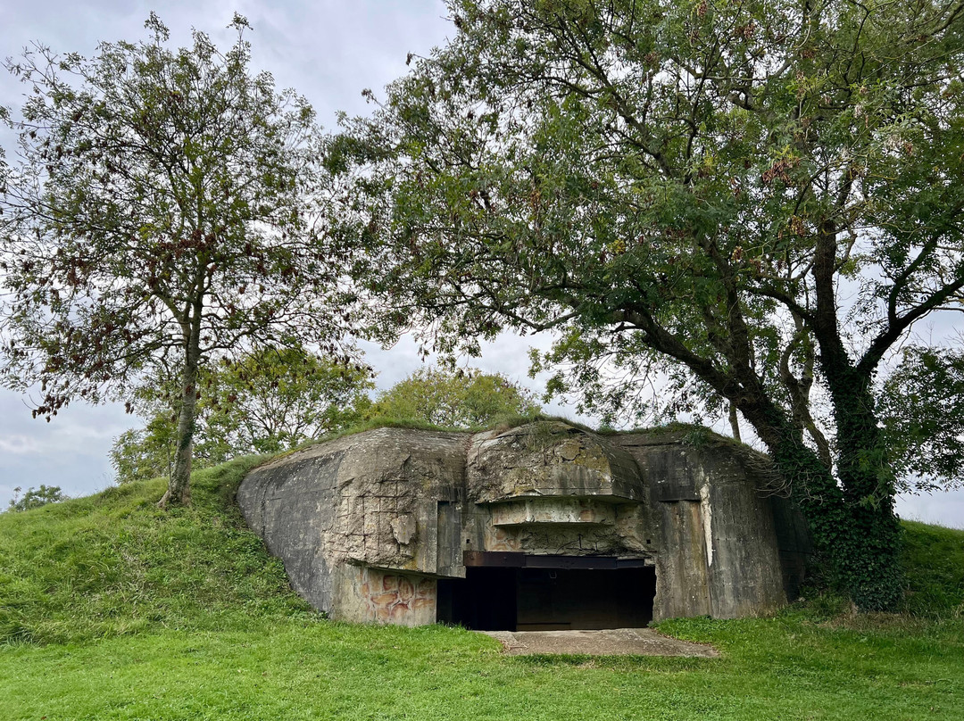 La Batterie d'Azeville (Azeville gun battery)-Azeville必去景点
