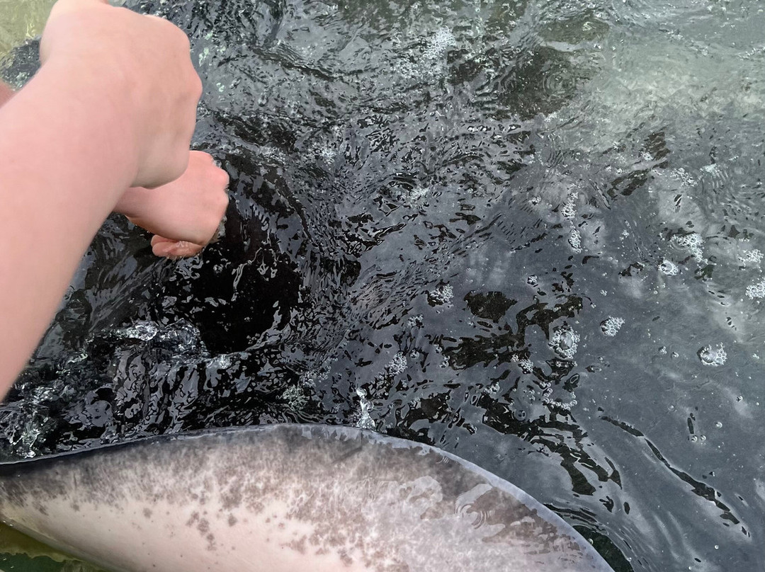 Dive Tatapouri-Gisborne Region必去景点