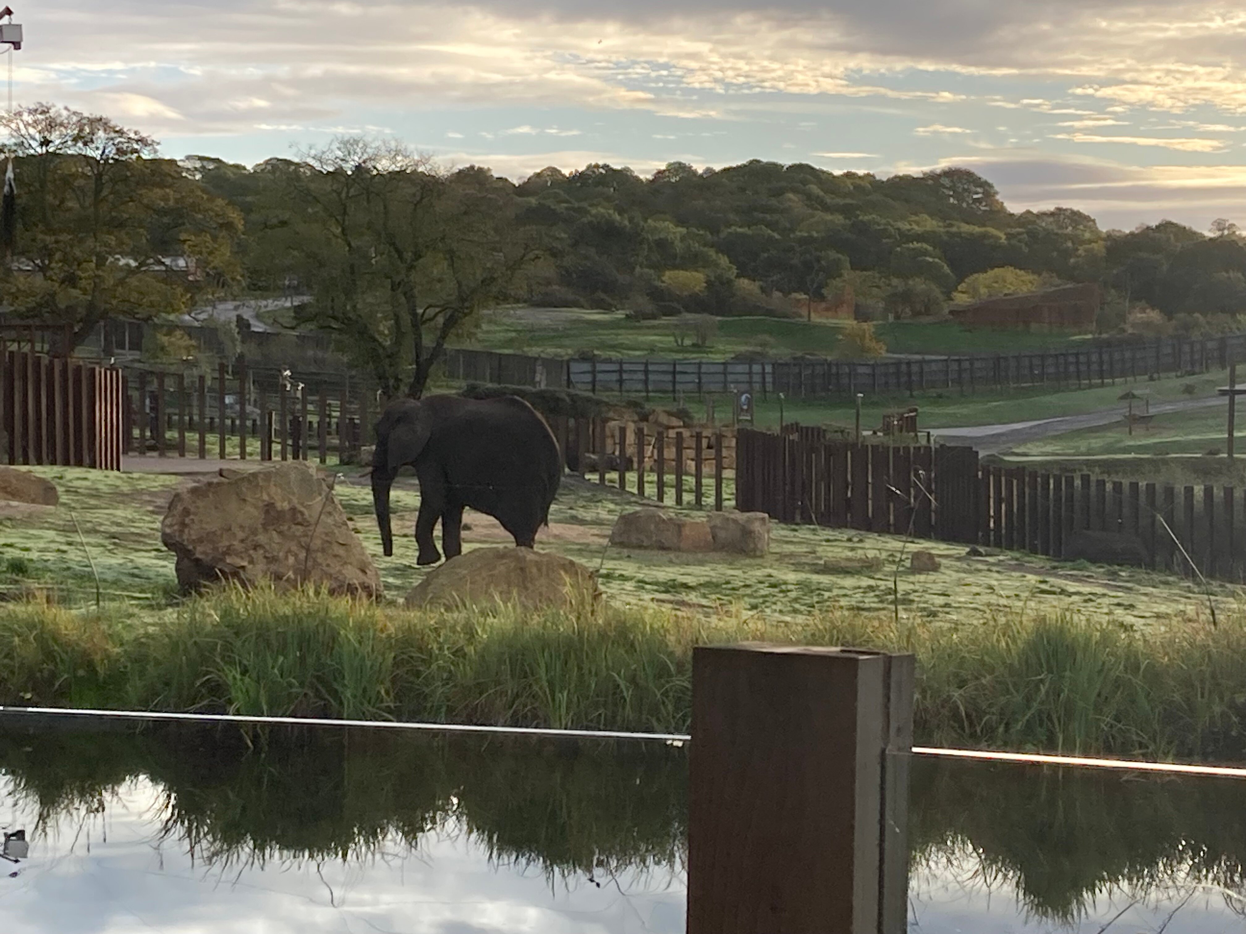 Safari Lodges At West Midlands Safari Park-官方