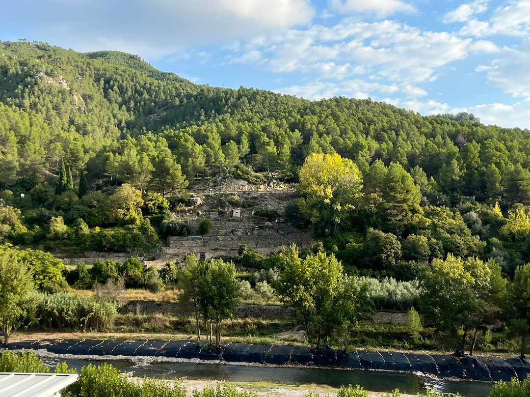 米哈雷斯玫瑰园酒店主图