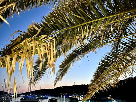 Ultra Sailing Croatia-斯普利特必去景点