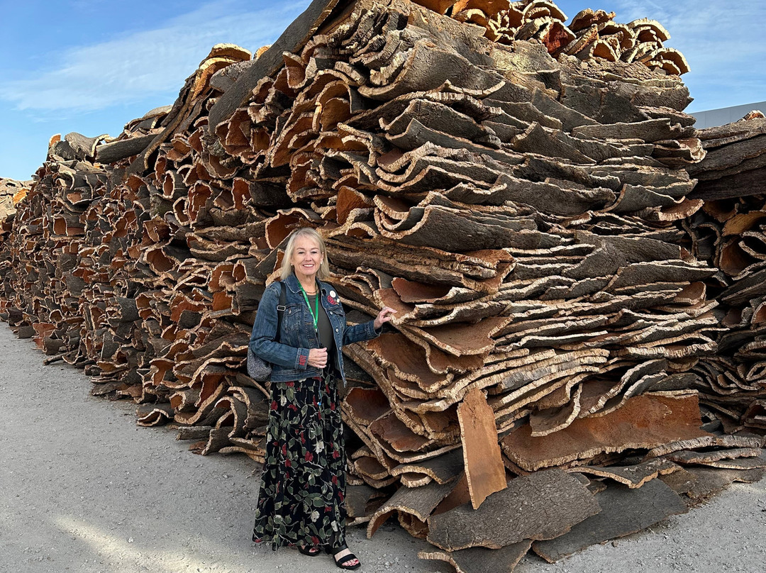 Corticarte - Arte em Cortica-Azaruja必去景点