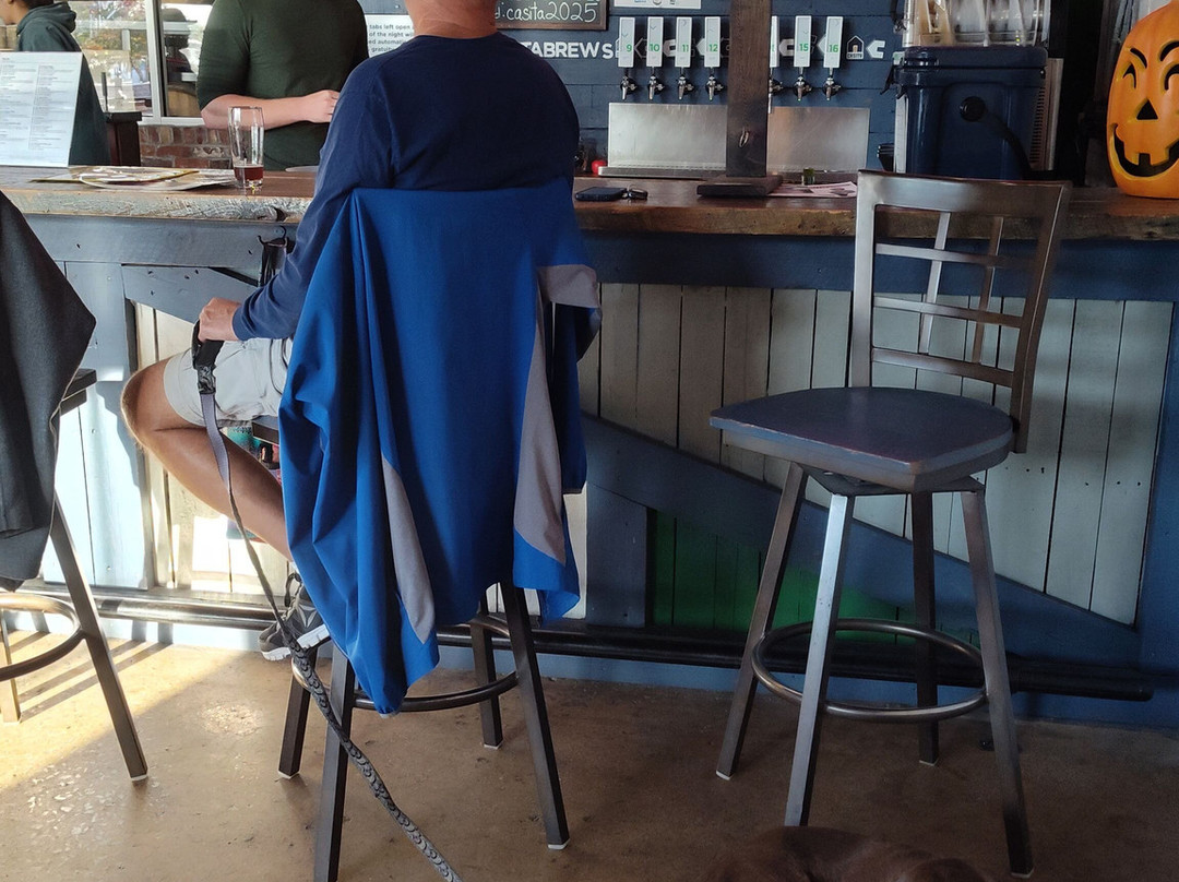 Casita Brewing Company-威尔逊必去景点